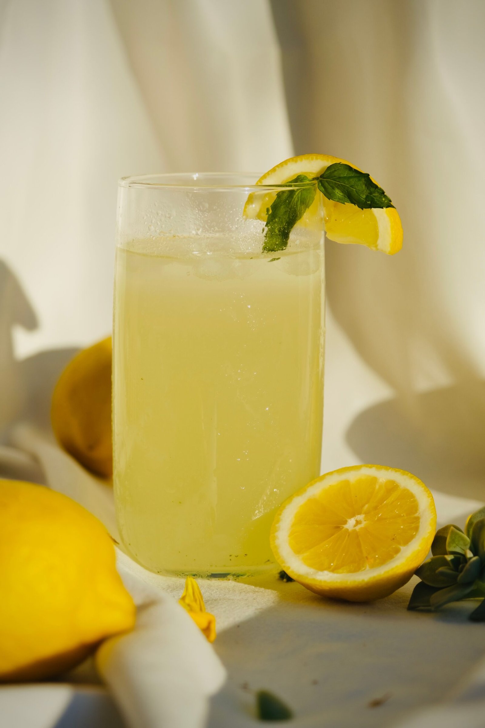 A chilled glass of lemonade garnished with lemon slices and mint, surrounded by fresh lemons.